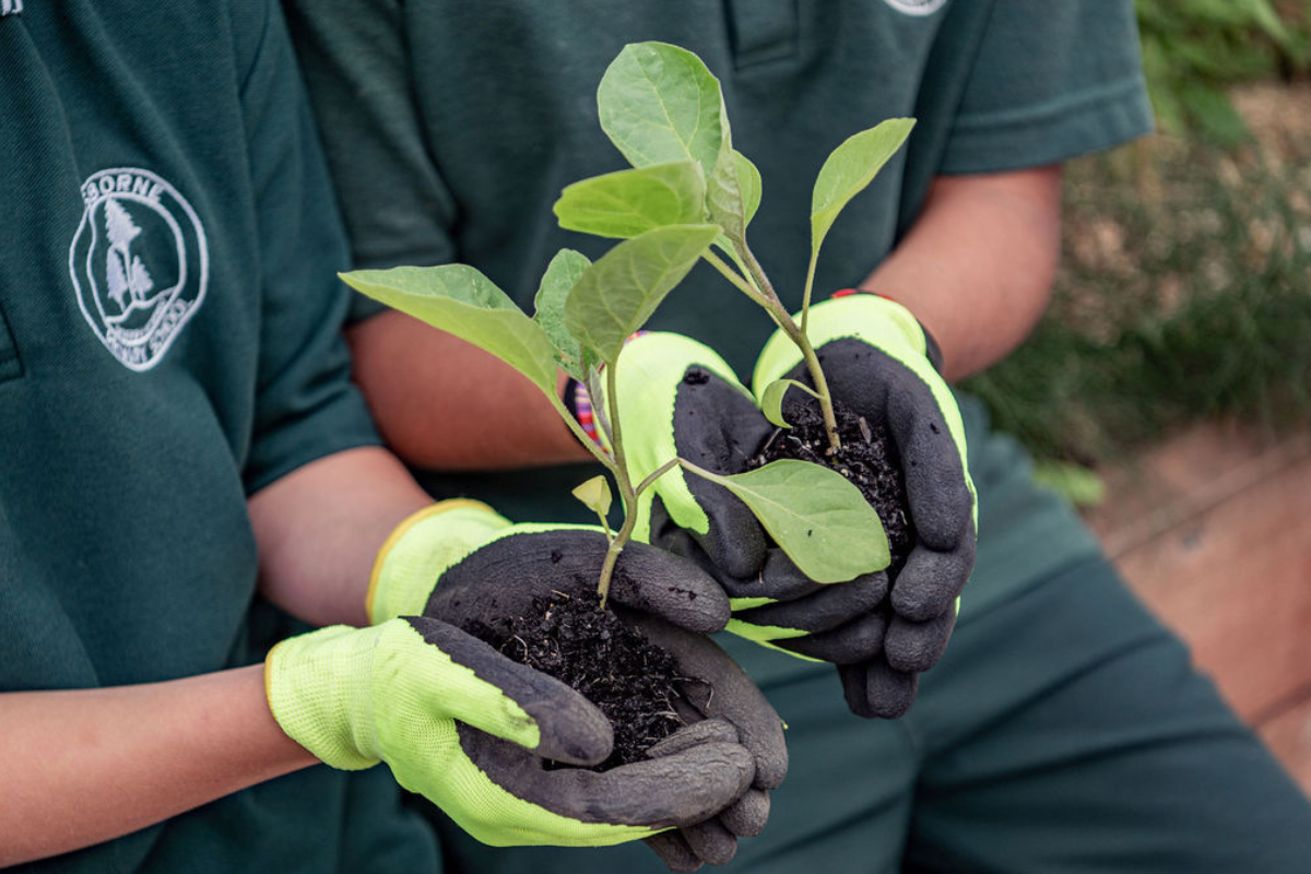 Kitchen Garden Kitchen Garden Kickstart Grants are back!
